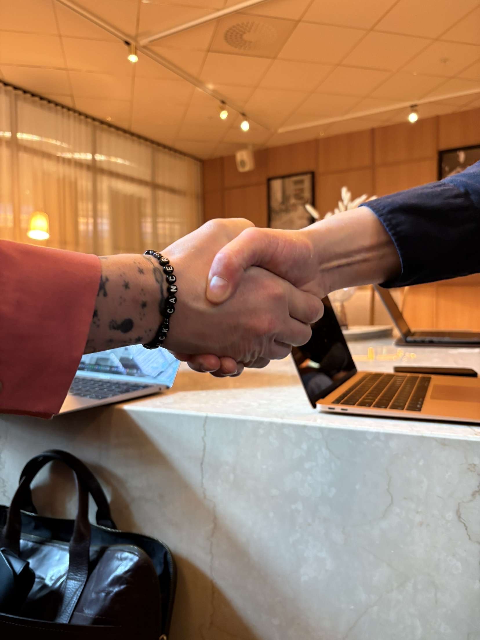 Två händer som skakar hand med varandra 